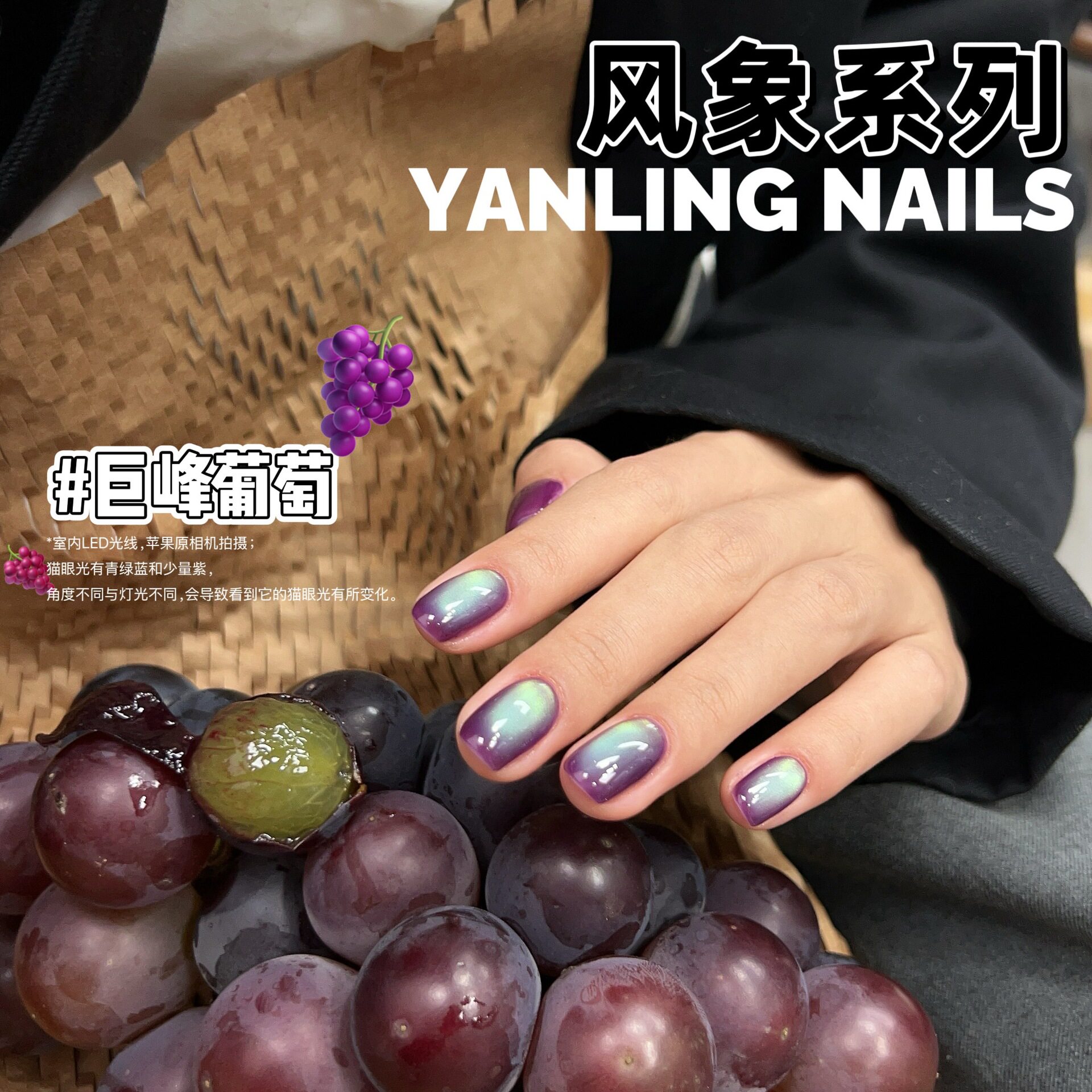 燕翎风象系列甲油胶火龙果猫眼巨峰葡萄紫色猫眼玻璃珠热门色合集