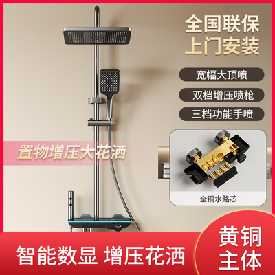 TLSTOK枪灰色白色有顶分体喷简易可升降花洒套装家用全铜淋浴花洒