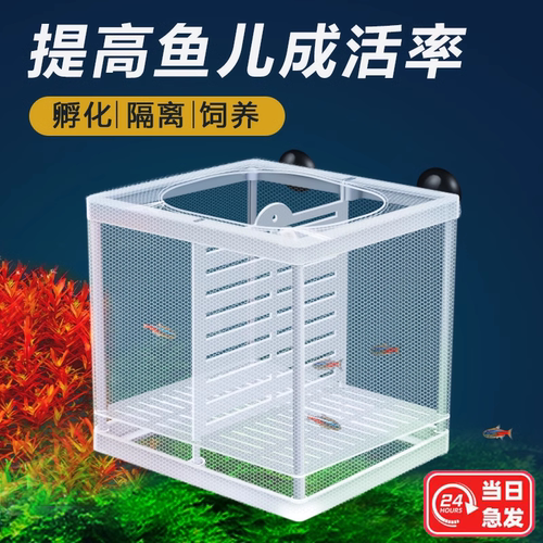 鱼缸隔离网繁殖孵化器悬浮式产子