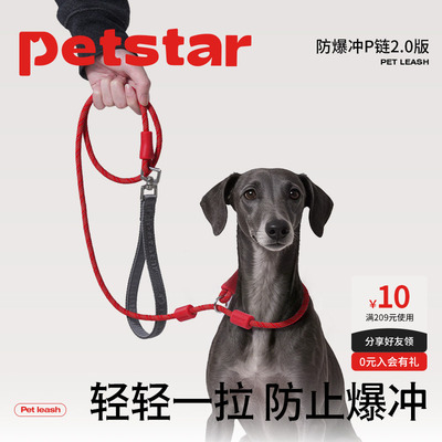 【petstar_防爆冲P链】赛级p绳狗狗牵引绳遛狗链子中大型犬防打结