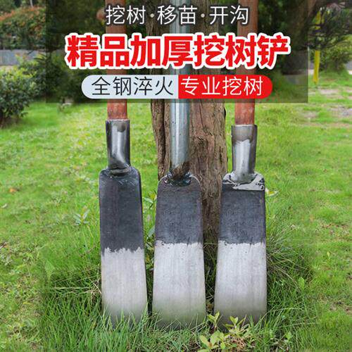 全钢挖树铲专业起苗移树加厚洛阳铲木柄铁锹打洞挖坑探铲园林工具