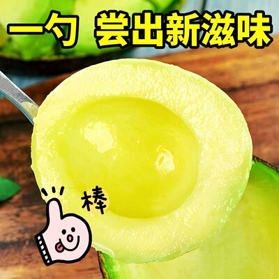 正宗云南国产鳄梨哈斯牛油果孕妇宝宝整箱新鲜水果批发大果辅食