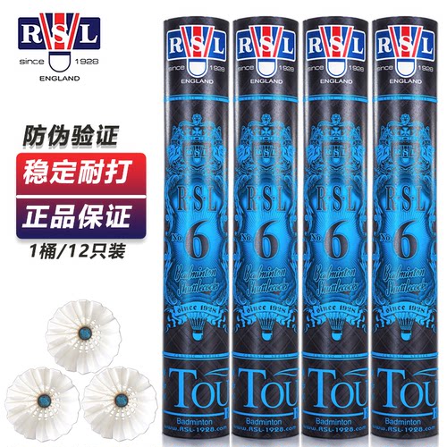 亚狮龙羽毛球稳定飞行耐打王训练