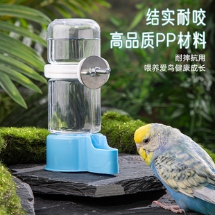 鳥用飲水器自動喂水喂食器鸚鵡水壺喝水器蘆丁雞專用食盒鳥籠外掛