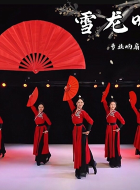 功夫扇子响扇太极扇武术广场舞红色双面中国风成人儿童跳舞蹈折扇