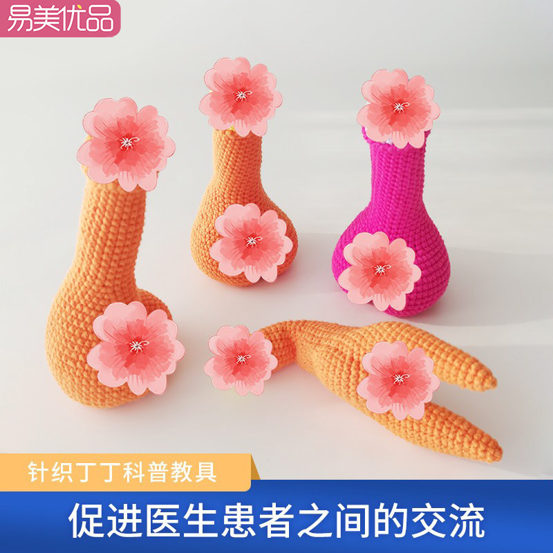 男科教培针织丁丁男性解剖科普模型医学仿真道具产康医用医患展示