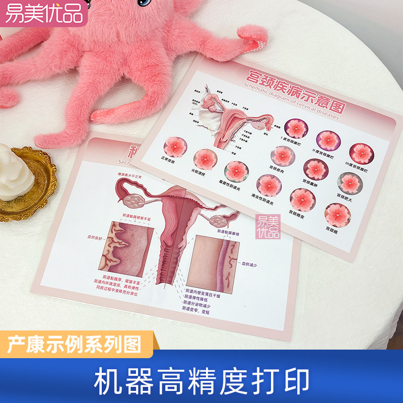 美容院产康示例图塑封装裱A4高精