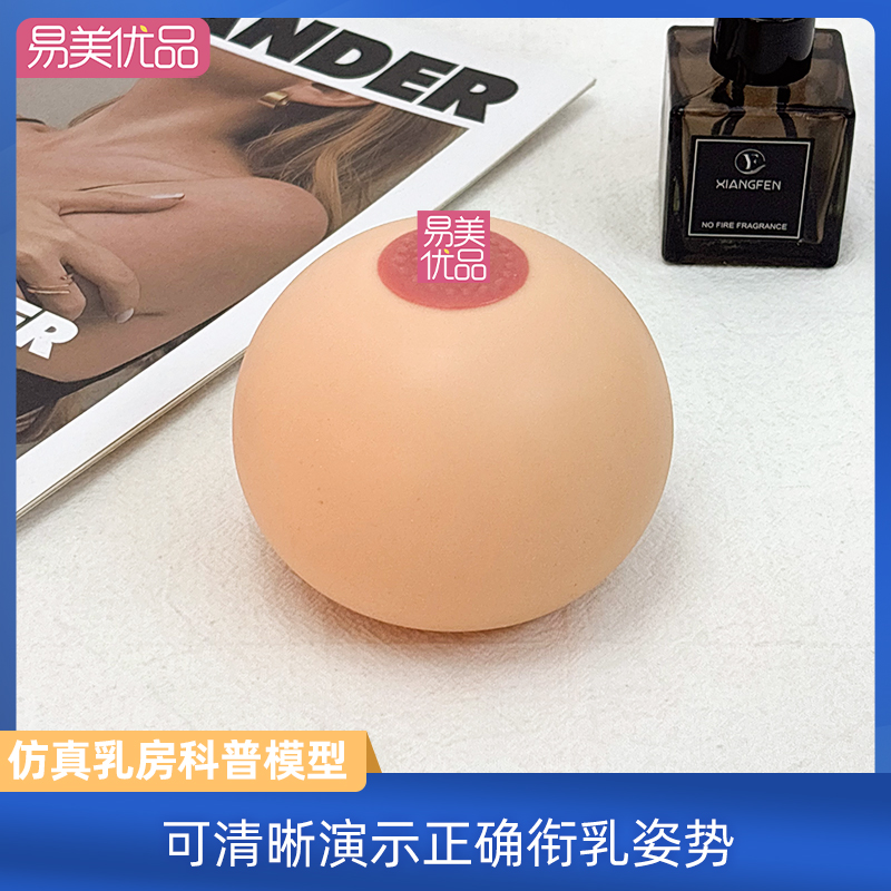 专业哺乳教学模型硅胶仿真乳房教具可水洗练习堵奶处理手法培训用