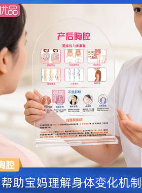 产后胸腔骨盆肋骨变化图解亚克力摆件孕产康复知识科普产康店