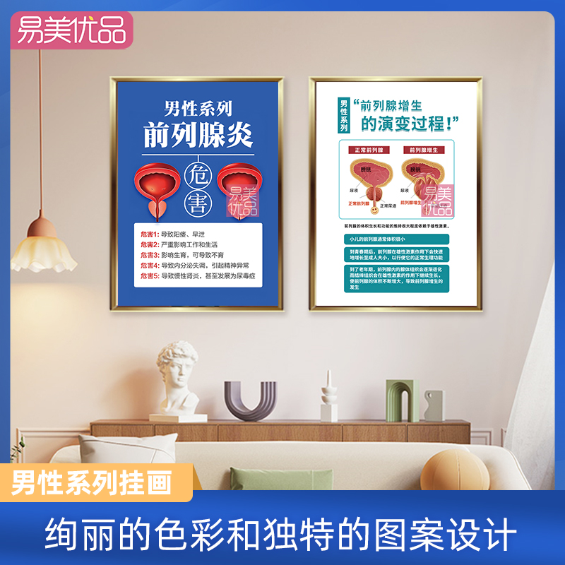 专业男性泌尿生殖系统解剖挂图