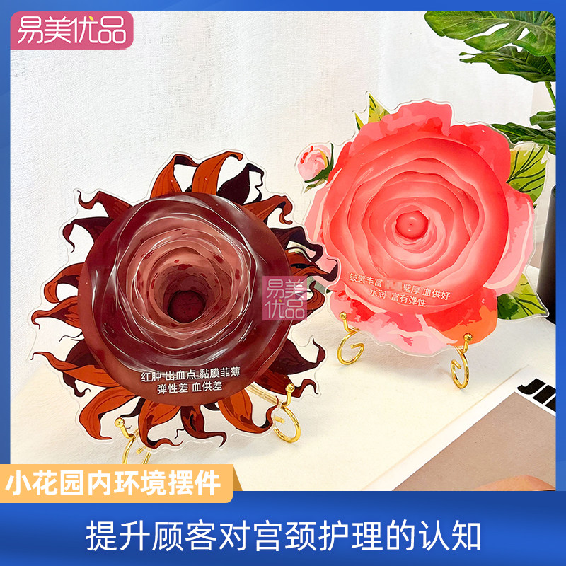 美容院装饰摆件V密花园内环境摆件宫颈健康模型亚克力氛围沟通VIP