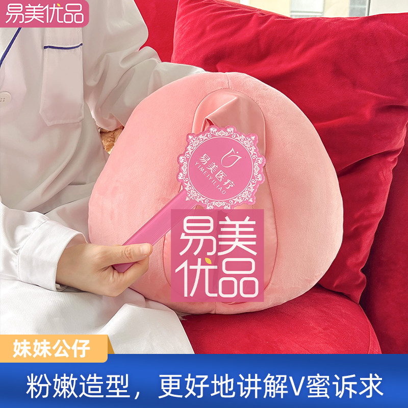 女性解剖妹妹公仔男性女性产康医美外阴教学模型医学科普展示