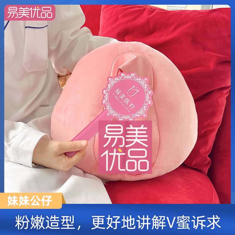 女性解剖妹妹公仔男性女性产康医美外阴教学模型医学科普展示