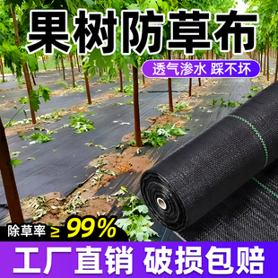 果树防草布除草布农用果园庭院地布地膜家新型生态遮草布发盖草布