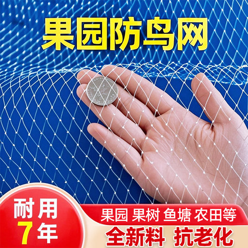 1厘米小网孔防鸟网防冰雹网