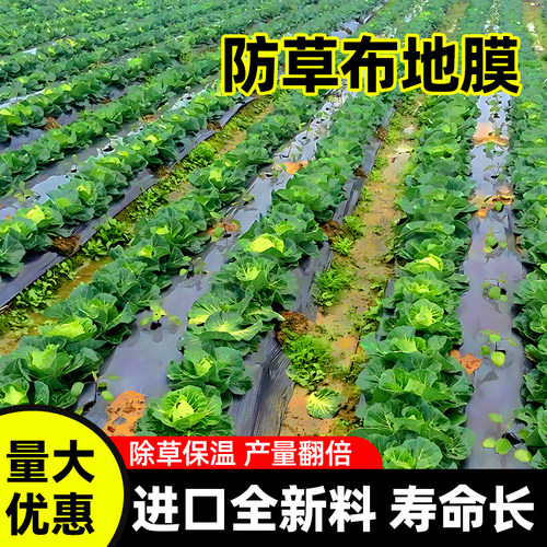除草布地膜抑草农用抗老化园艺保湿果园果树透气地布大棚地膜黑色