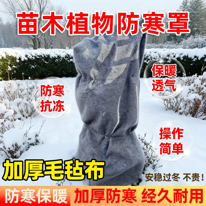 加厚毛毡布苗木果树防寒罩