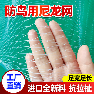 防鸟用尼龙网果园防鸟网养殖天网葡萄园樱桃蓝莓护栏果树防护网罩