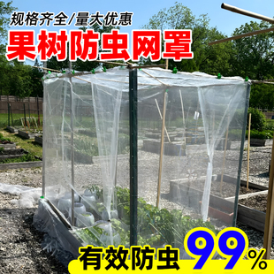 果树防虫网罩果园防鸟网莲雾樱桃蓝莓杨梅蔬菜花卉绿植网纱抗老化