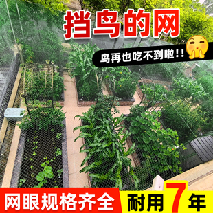 小孔防鸟网嘉宝果樱桃果园果树葡萄爬藤网鱼塘养殖农用拦鸟挡鸟网