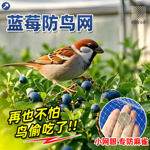 蓝莓防鸟网防鸟罩子果树专用尼龙网线樱桃杨梅蔬菜绿植防鸟抗老化