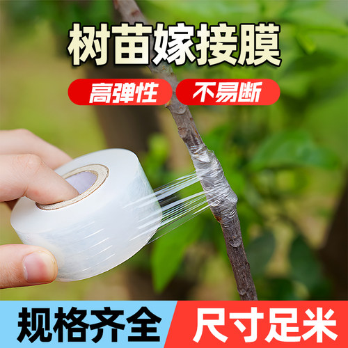 树苗嫁接膜果树专用自粘透明农用加厚pe环保保鲜膜拉伸缠绕膜胶带