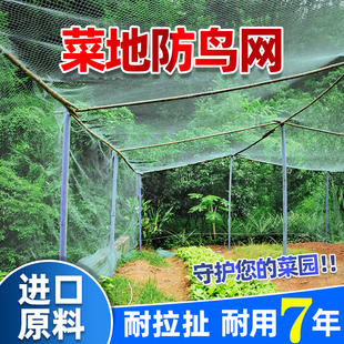 果树防鸟用网葡萄樱桃防鸟网罩阳台菜地农用防鸟网小棚防鸟神器