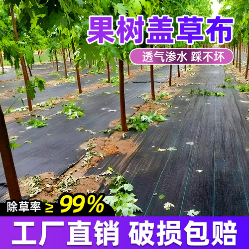 防草布除草布耐用量大专车