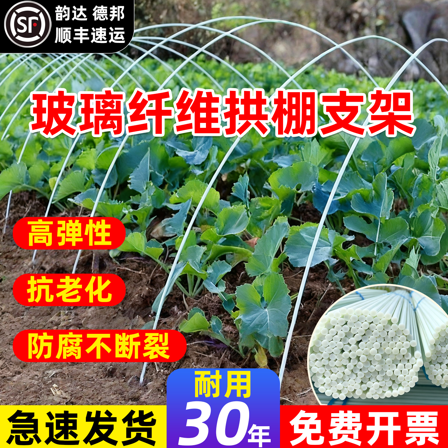 农用拱棚支架玻璃钢纤维搭棚拱杆种菜用蔬菜豆角专用爬藤架支撑杆