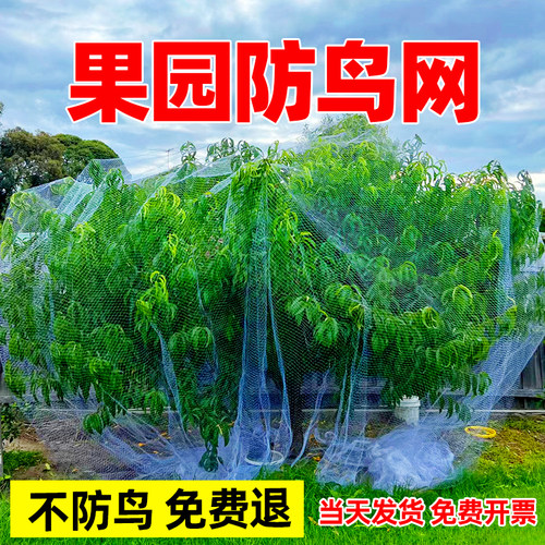 2025年全新料果园防鸟网厂家直销