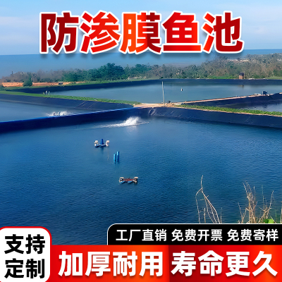 防渗膜鱼池防水布专用土工膜蓄水池藕池膜鱼池护坡屋顶防漏养殖膜
