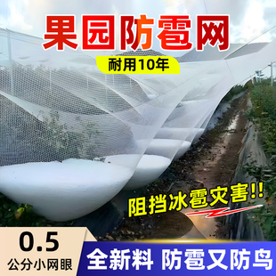 果园防雹网果树防鸟罩厂家直销葡萄樱桃防护网果园防冰雹菜地阳台