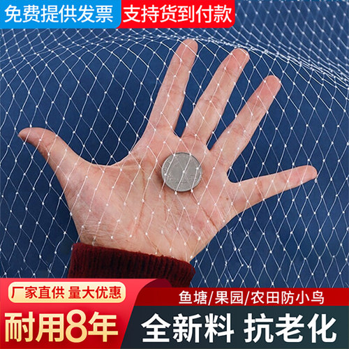 防鸟网果树果园大棚专用网阳台樱桃树葡萄鱼塘养殖天网防小鸟的网