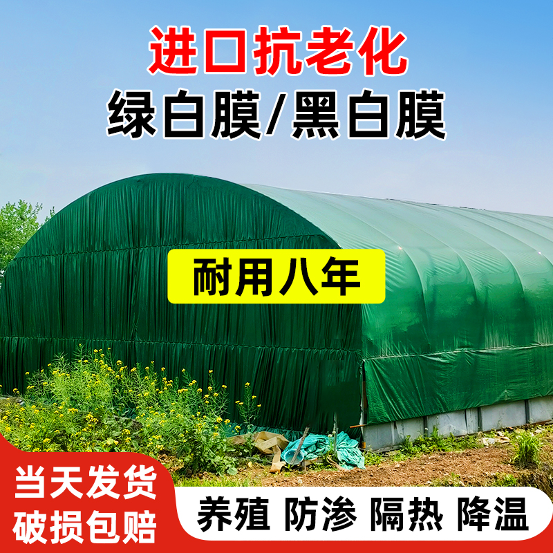 黑白膜养殖防晒加厚大棚食用菌抗老化专用绿白膜反光隔热降温防渗