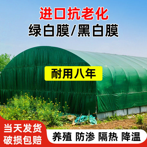 黑白膜养殖防晒加厚大棚食用菌抗老化专用绿白膜反光隔热防渗保温