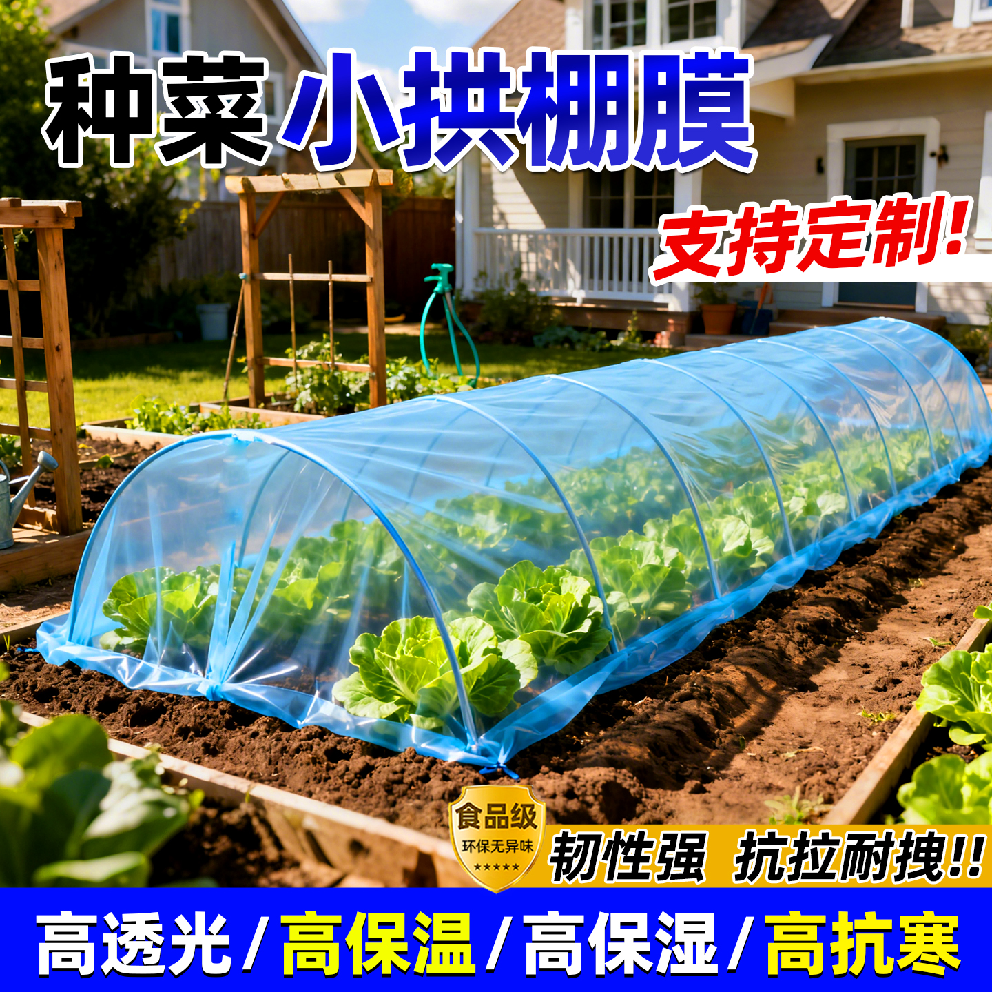 种菜小拱棚秋冬季蔬菜防寒过冬保温保湿塑料布种菜专用大棚塑料膜
