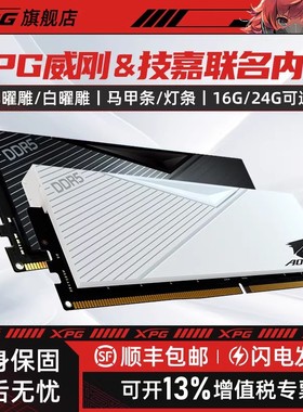 威刚XPG威龙D500马甲内存DDR5技嘉联名16G台式电脑低时序特挑颗粒
