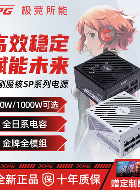 威刚XPG魔核SP电源850/1000W金牌全模组全日系电容台式电脑ATX3.1