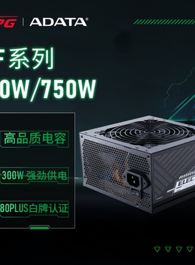 威刚XPG EF系列550/650/750W电源白牌直出ATX节能低噪台式电脑用