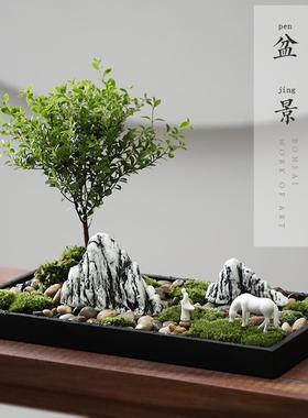 汉鸿 创意办公室摆件微景观禅意花盆客厅茶室桌面盆景家居装饰品