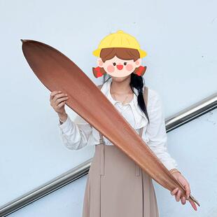 巴西进口超大号可可叶真干燥花植物摆件样板房装饰托盘树叶拍摄道