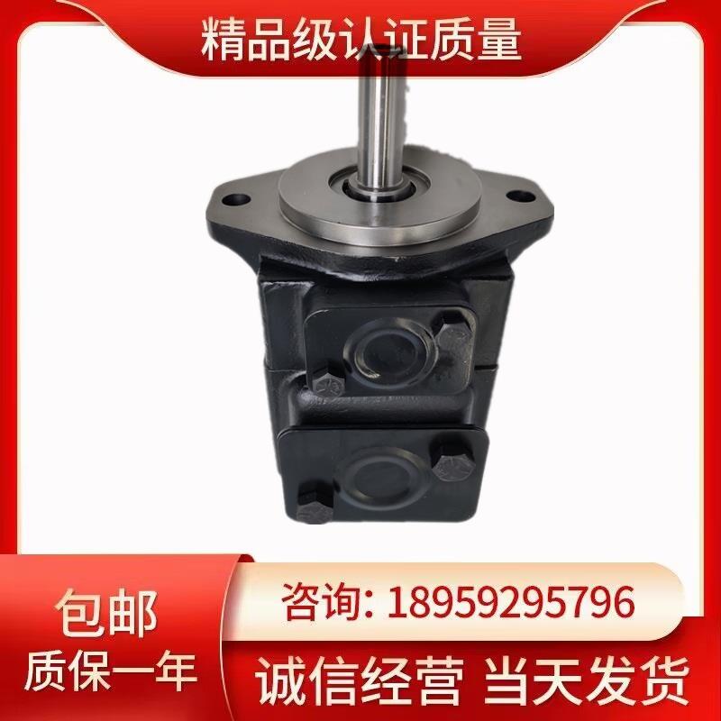 进口叶片泵T6E 072 2L00/2L01/2L02/2L03 A1/C1丹尼逊液压泵电机