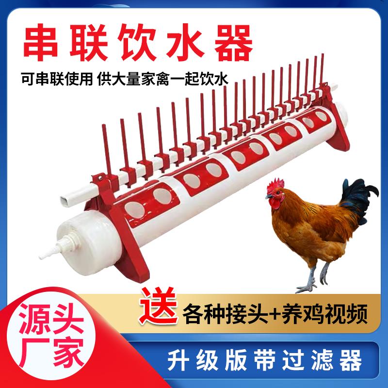 鸡用自动饮水器小号家禽饮水槽育雏饮水器鸭子水槽鹅水壶养殖用品