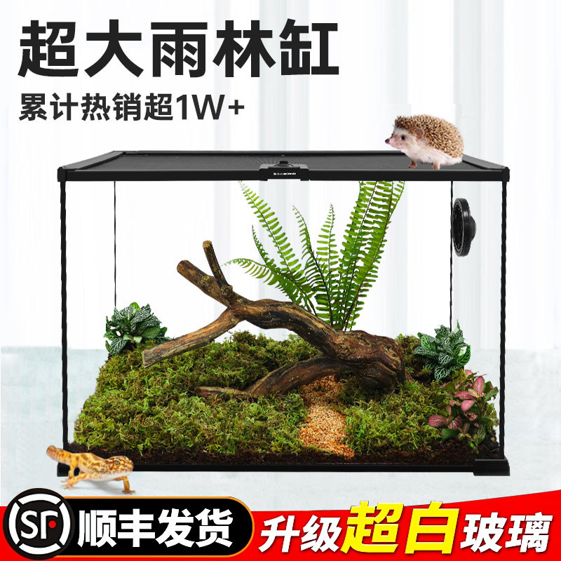BG爬宠饲养箱睫角守宫蜥蜴宠物蛇角蛙树栖蜘蛛雨林造景玻璃生态缸
