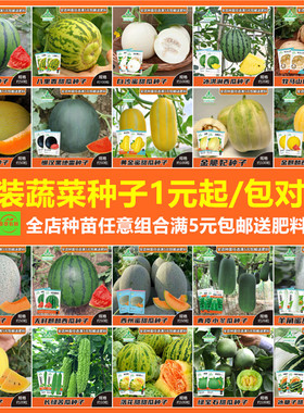 盆栽小西瓜8424冰糖麒麟种子孑羊角蜜绿宝石白甜瓜黄瓜苦瓜蔬菜籽