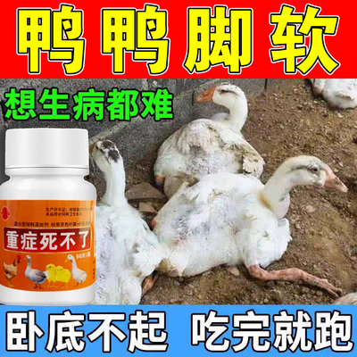 鸭子腿软专用瘫软脚站不起来痪双腿无力站立不稳歪头特效