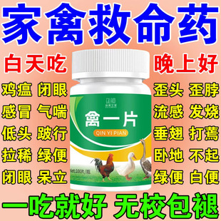 禽一片养鸡专用药鸡病全治救命药家禽感冒拉稀发烧呼噜流感鸡鸭鹅