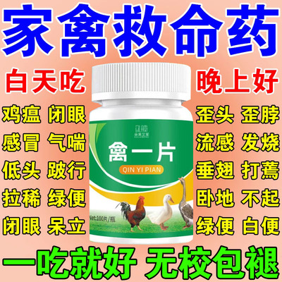 禽一片养鸡专用药鸡病全治救命药家禽感冒拉稀发烧呼噜流感鸡鸭鹅