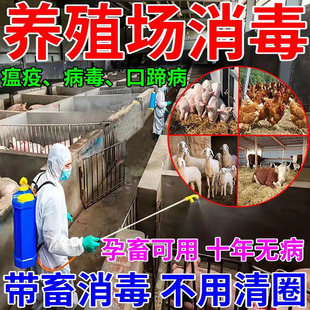 消毒液养殖场专用二氯异氰尿酸纳粉预防非洲猪瘟消毒粉猪圈鸡舍用