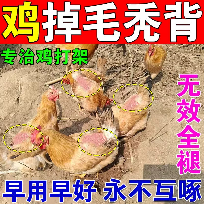鸡掉毛专用药专治鸡啄肛啄毛药防打架啄羽互啄补充营养止啄止咬灵